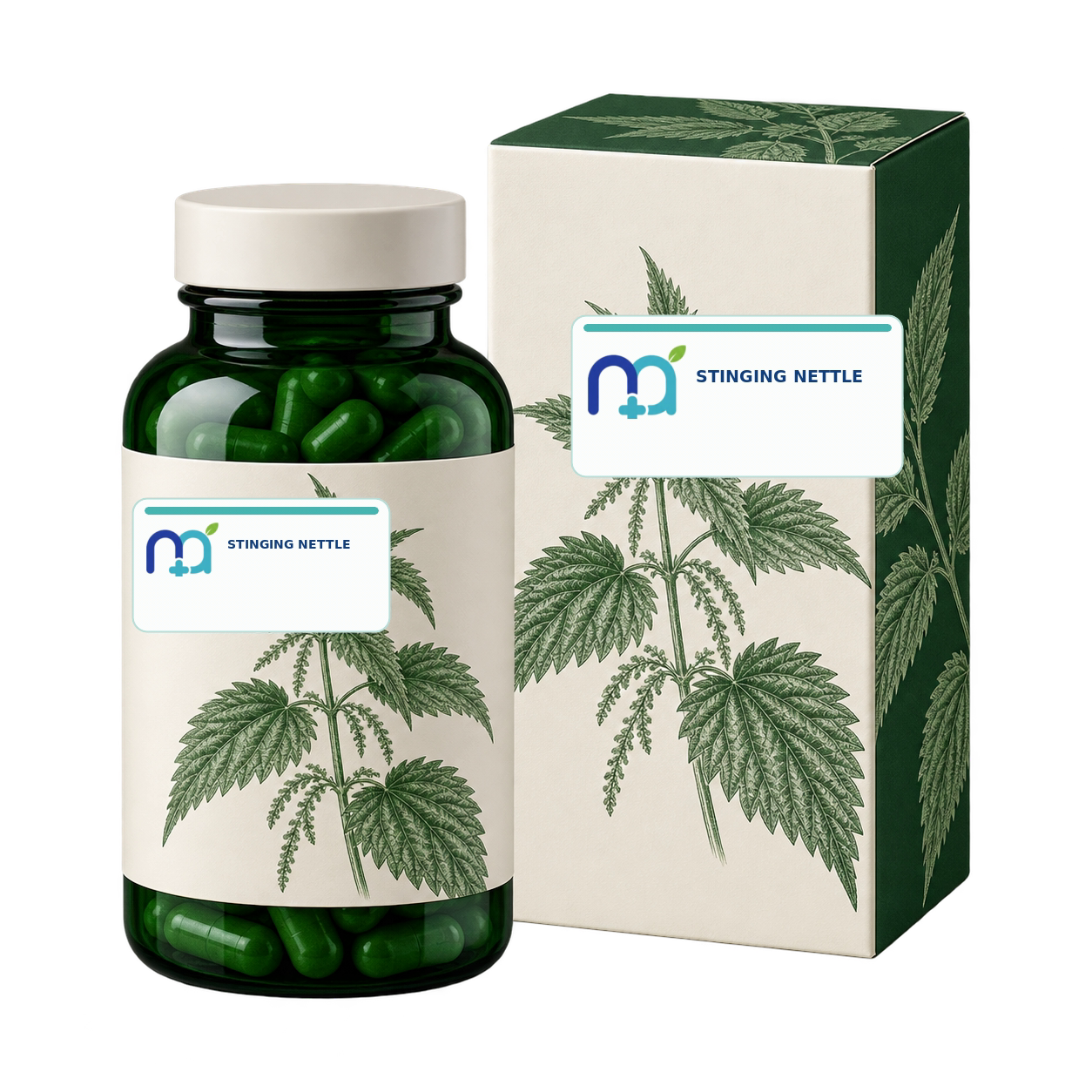 Stinging Nettle